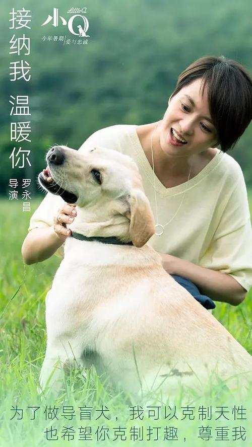 韦恩州立大学市场开发文凭证书